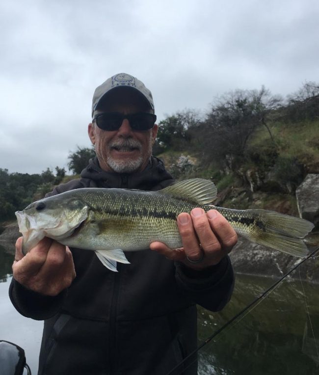 california-largemouth-bass-3